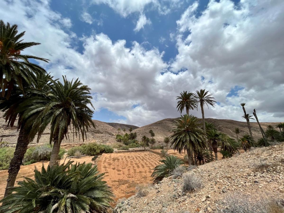 Las Torres Del Castillo, 108Cactus كوستا دي أنتيجوا المظهر الخارجي الصورة